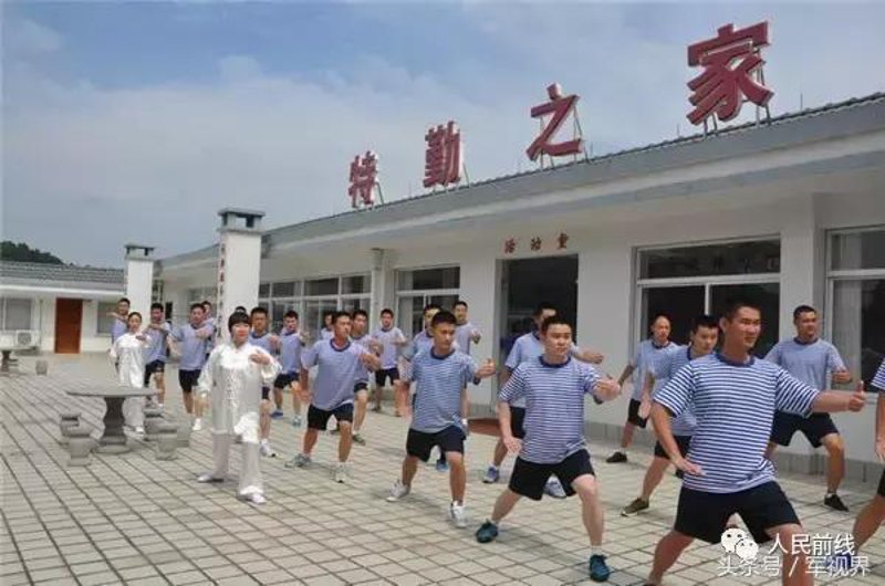 太极文化的选购指南：从入门到精通