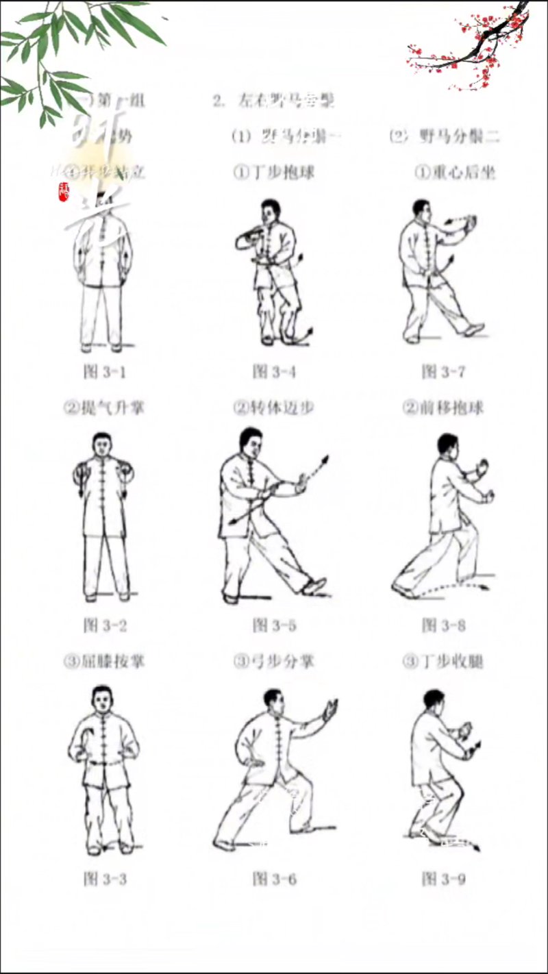 太极养生：入门之道与选购秘籍