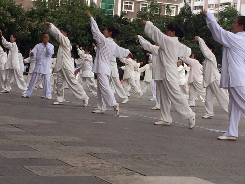 太极养生风靡健身人群，传统与现代碰撞出新火花
